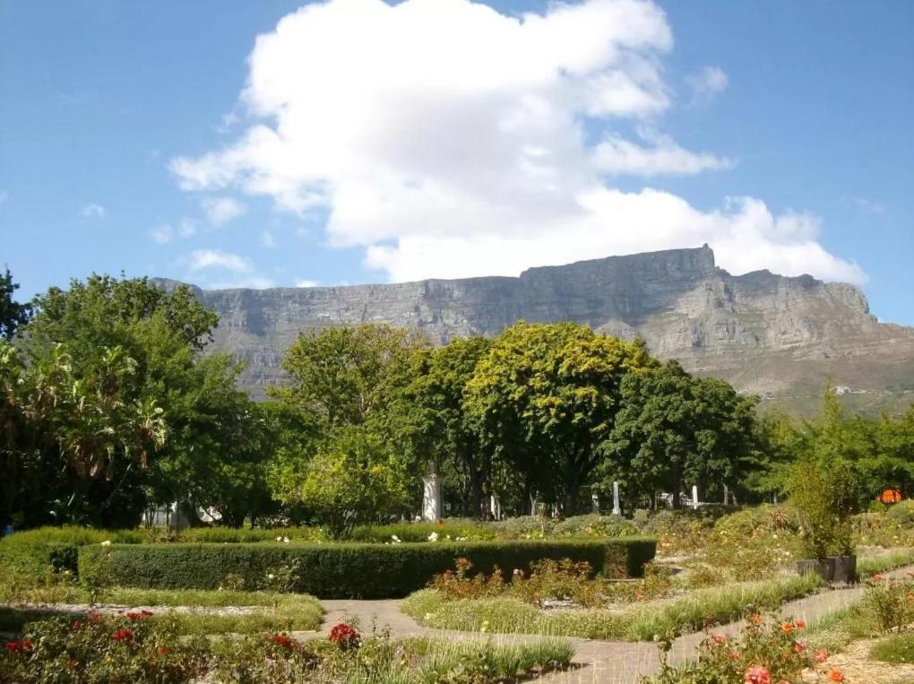 Taj Hotel Cape Town - Luxury 5 Star Suites - Very Spacious With Kitchenette, Lions Head Views Exterior photo
